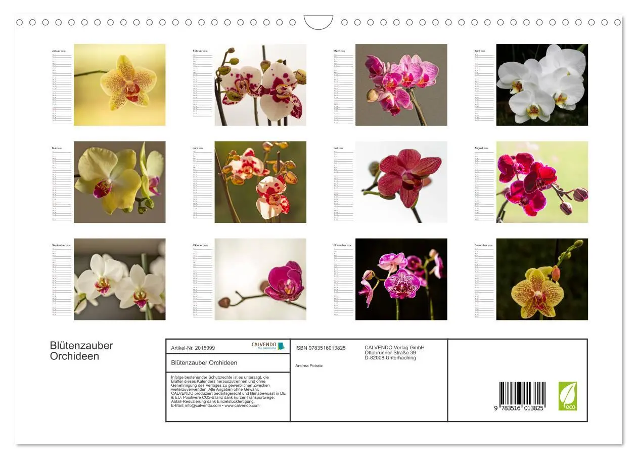 Bild: 9783516013825 | Blütenzauber Orchideen (Wandkalender 2026 DIN A3 quer), CALVENDO...