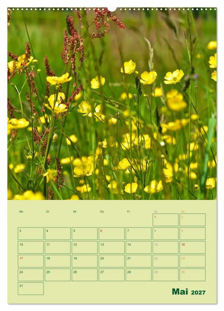 Bild: 9783594083925 | Wald- und Wiesenkalender 2027 Planer (hochwertiger Premium...