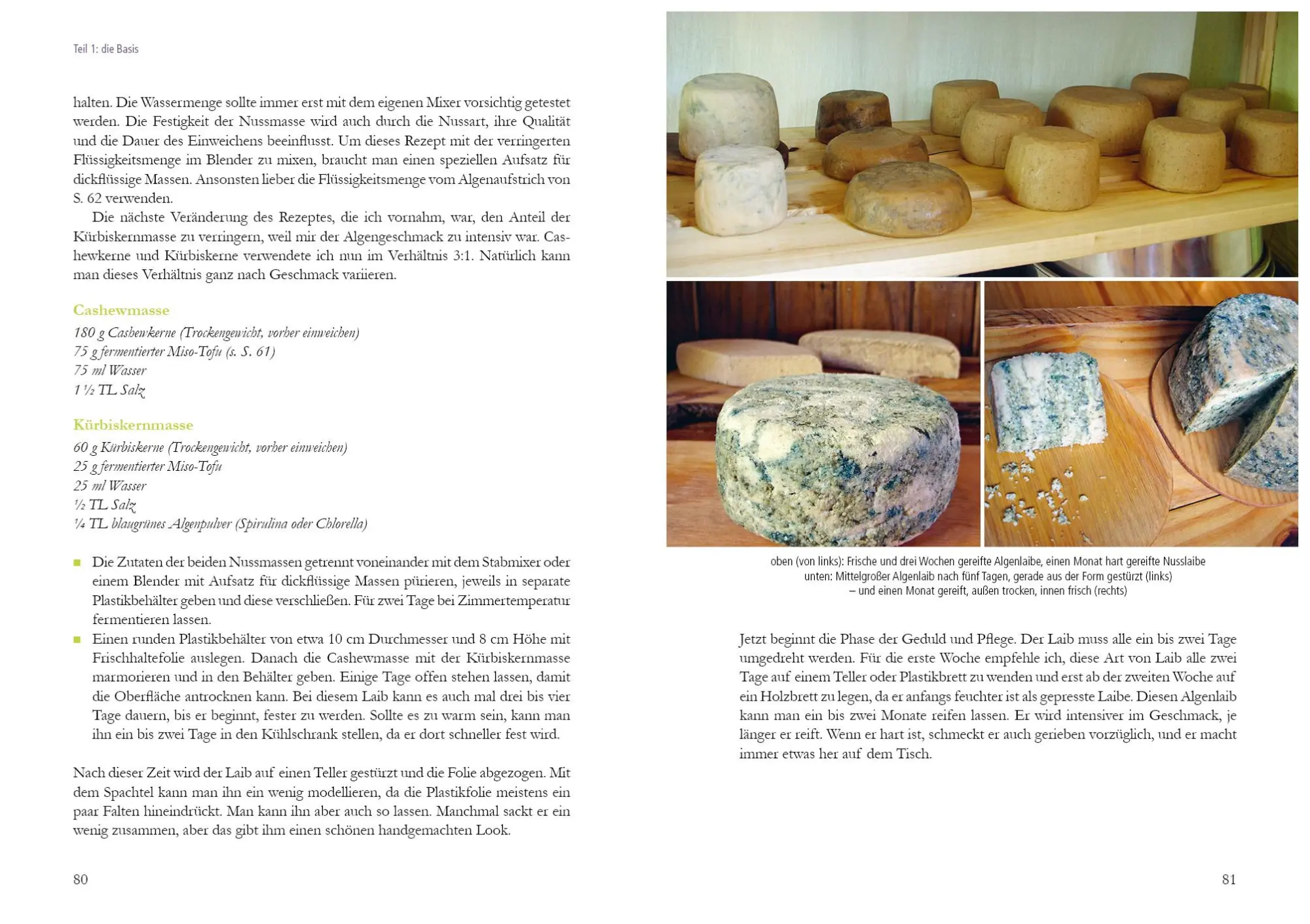 Bild: 9783895663925 | Natürlich fermentierte Nüsse | Stefanie Horn | Buch | 192 S. | Deutsch