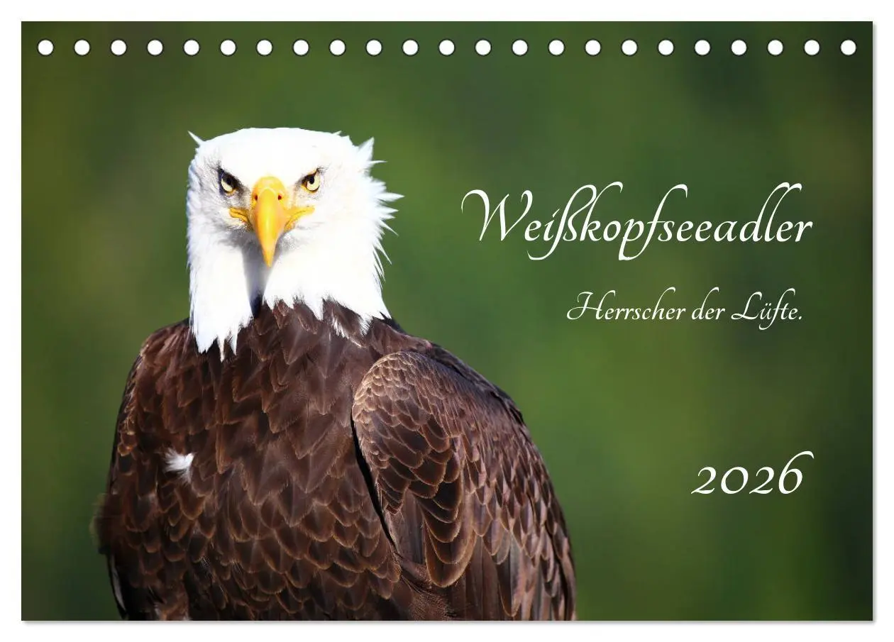 Cover: 9783457734025 | Weißkopfseeadler. Herrscher der Lüfte. 2026 (Tischkalender 2026 DIN...