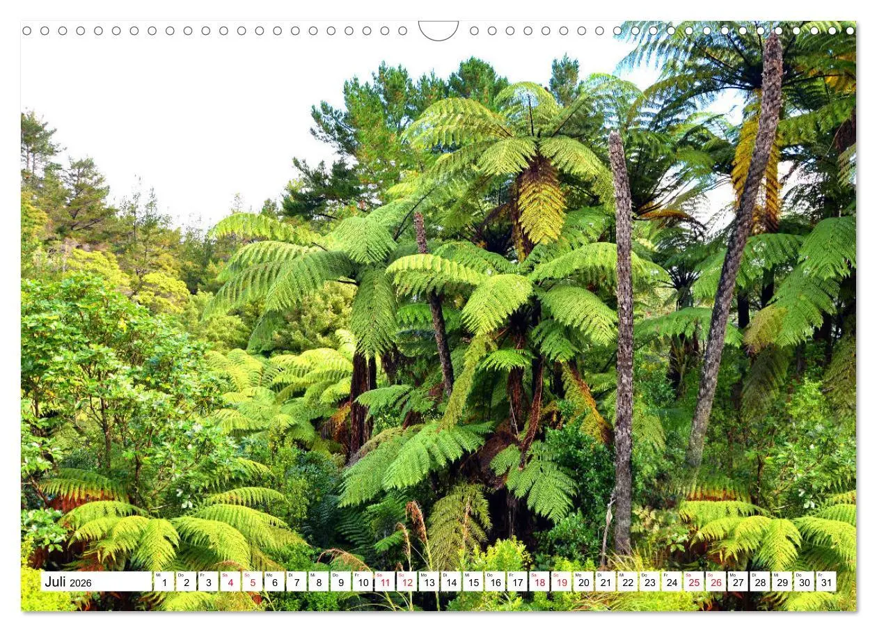 Bild: 9783457804025 | Neuseeland Nordinsel - faszinierende Orte am anderen Ende der Welt...