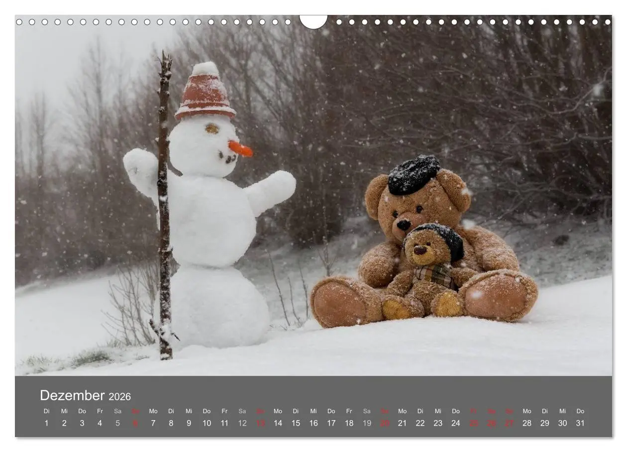 Bild: 9783457974025 | Travelling Teddy 2026 (Wandkalender 2026 DIN A3 quer), CALVENDO...