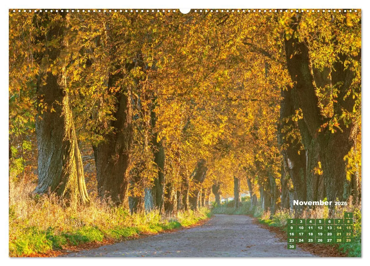 Bild: 9783457274125 | Alleen: Der Weg ist das Ziel (hochwertiger Premium Wandkalender...