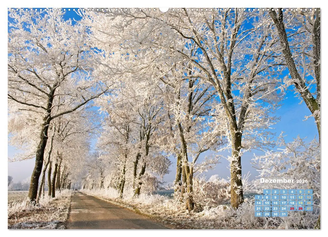 Bild: 9783457274125 | Alleen: Der Weg ist das Ziel (hochwertiger Premium Wandkalender...