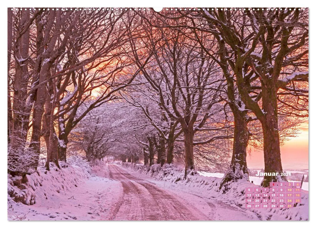 Bild: 9783457274125 | Alleen: Der Weg ist das Ziel (hochwertiger Premium Wandkalender...