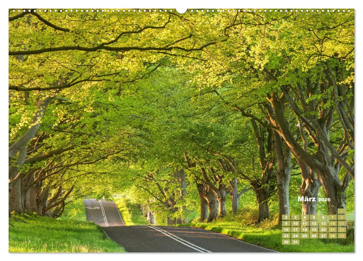 Bild: 9783457274125 | Alleen: Der Weg ist das Ziel (hochwertiger Premium Wandkalender...