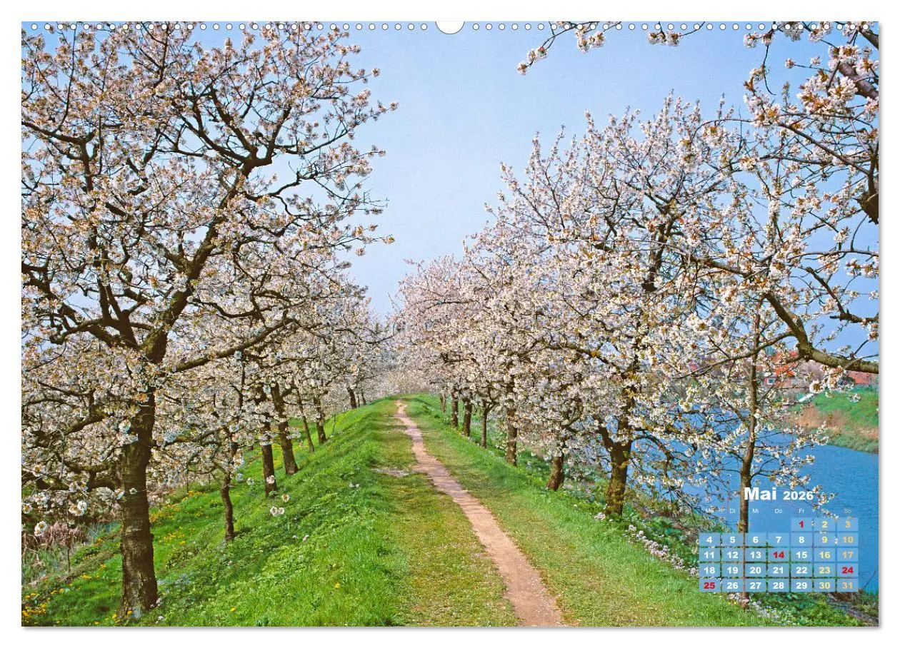 Bild: 9783457274125 | Alleen: Der Weg ist das Ziel (hochwertiger Premium Wandkalender...
