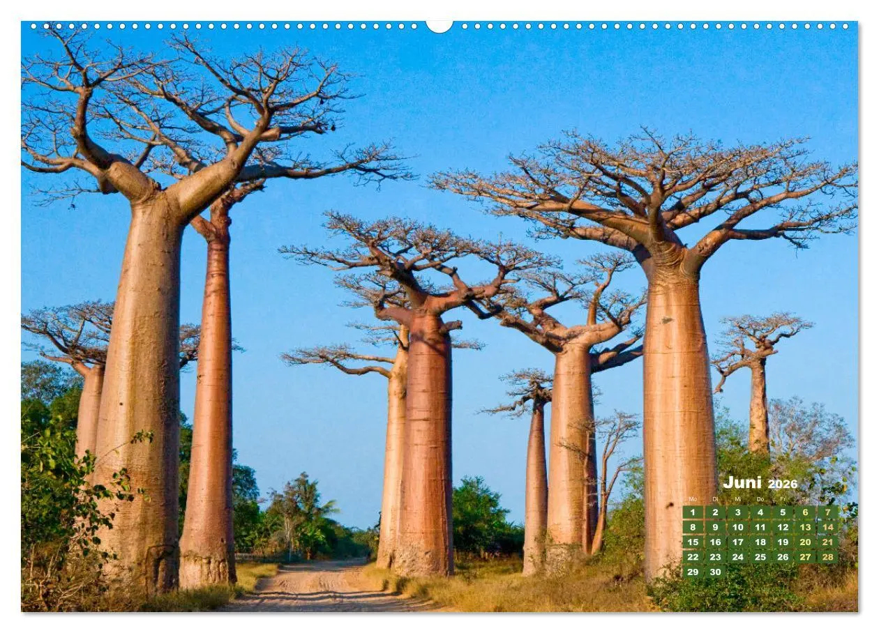 Bild: 9783457274125 | Alleen: Der Weg ist das Ziel (hochwertiger Premium Wandkalender...