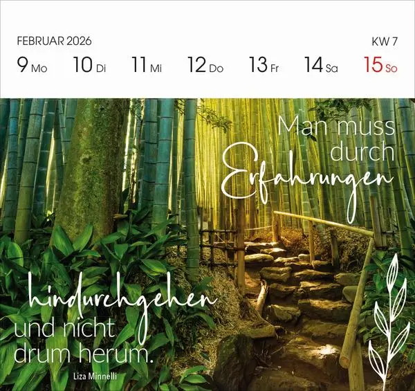 Bild: 9783731884125 | 53 Energie-Impulse für Powerfrauen 2026 | Verlag Korsch | Kalender