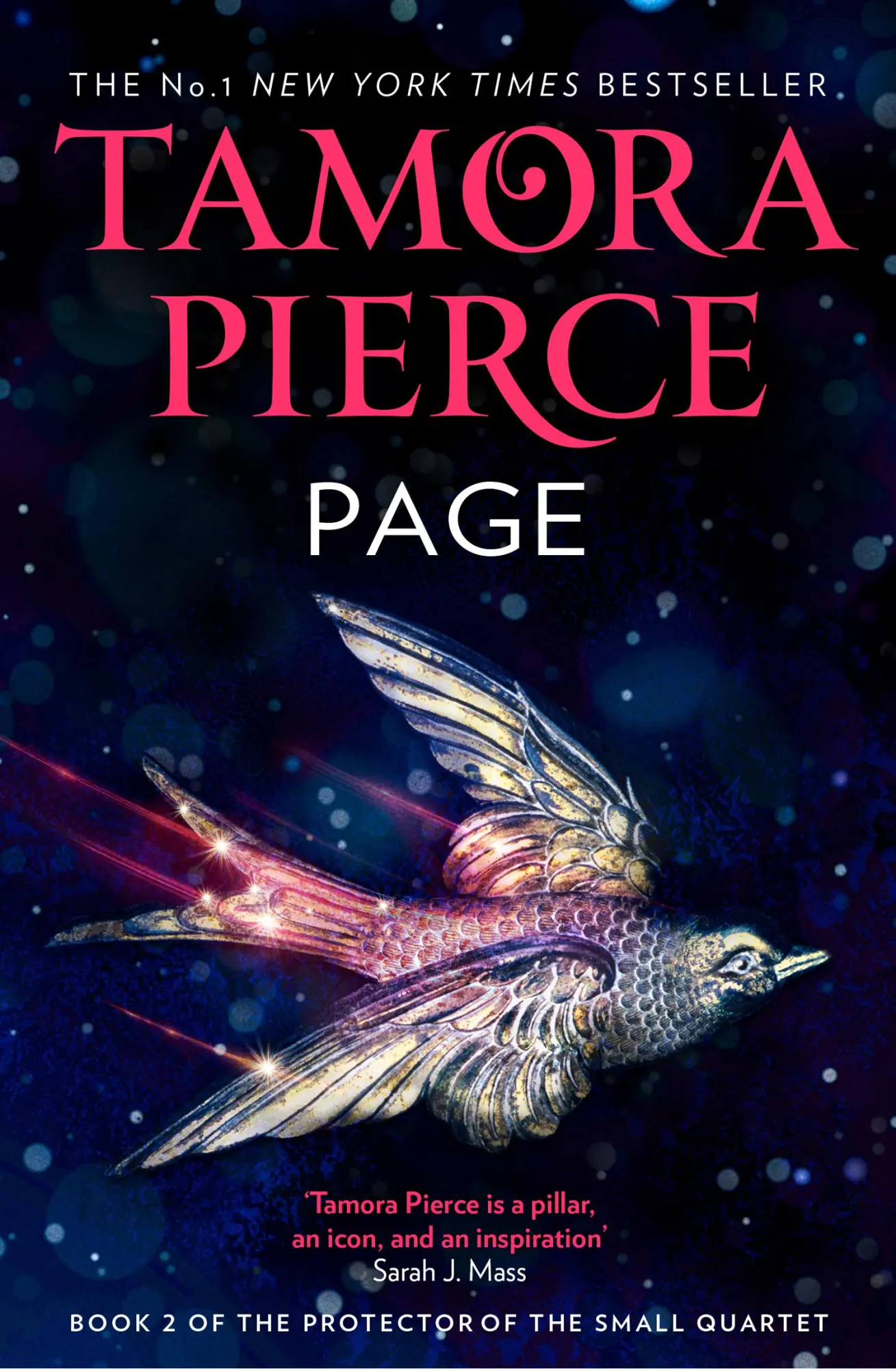 Cover: 9780008304225 | Page | Tamora Pierce | Taschenbuch | Kartoniert / Broschiert | 2019