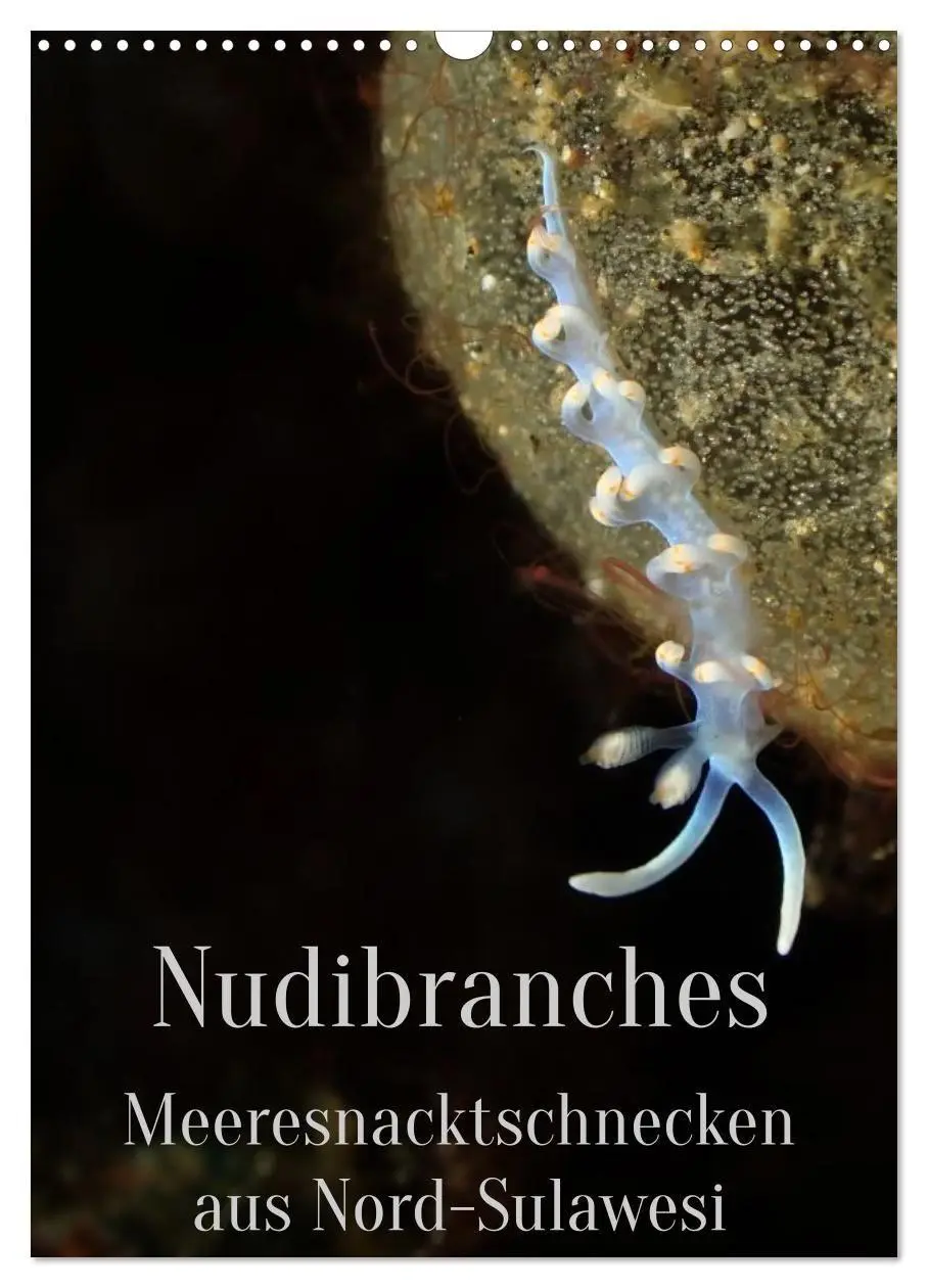 Cover: 9783516734225 | Nudibranches Meeresnacktschnecken aus Nord-Sulawesi (Wandkalender...