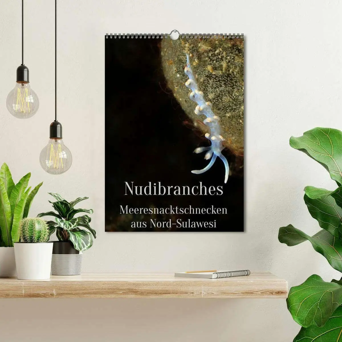 Bild: 9783516734225 | Nudibranches Meeresnacktschnecken aus Nord-Sulawesi (Wandkalender...