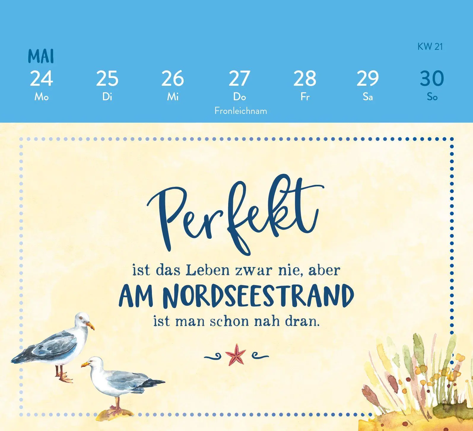 Bild: 4036442014325 | Mini-Wochenkalender 2027: MEER ist Balsam für die Seele | Rosenbusch