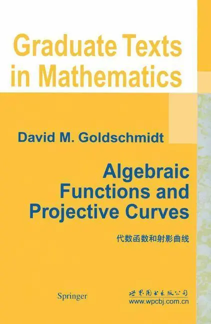 Bild: 9780387954325 | Algebraic Functions and Projective Curves | David Goldschmidt | Buch