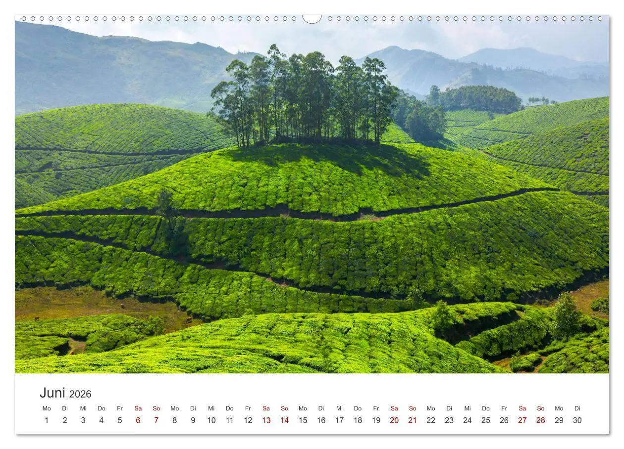 Bild: 9783457564325 | It's Tea Time (Wandkalender 2026 DIN A2 quer), CALVENDO Monatskalender