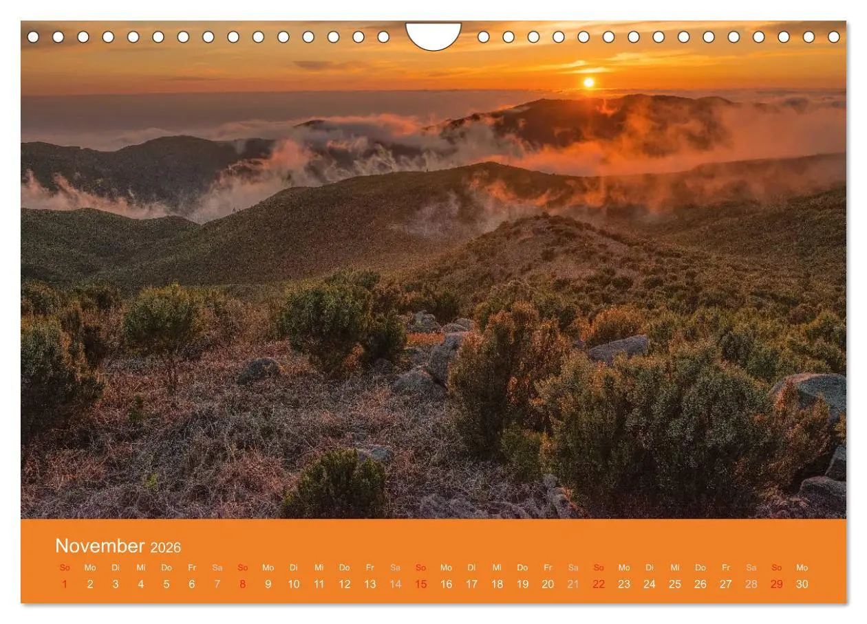 Bild: 9783516104325 | Zauberhaftes Madeira (Wandkalender 2026 DIN A4 quer), CALVENDO...