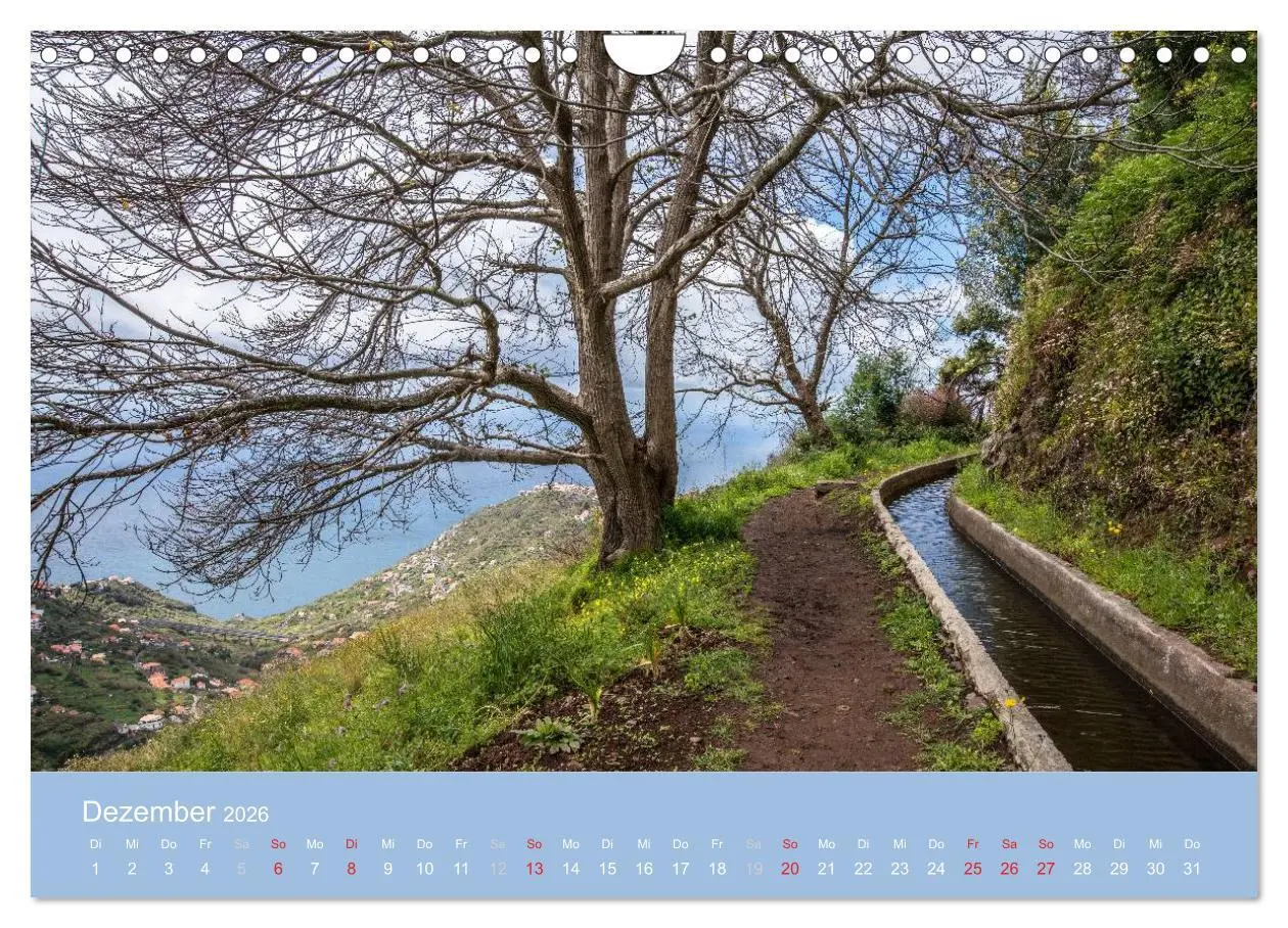 Bild: 9783516104325 | Zauberhaftes Madeira (Wandkalender 2026 DIN A4 quer), CALVENDO...