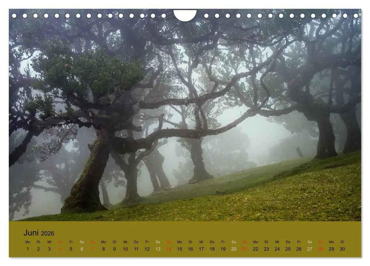Bild: 9783516104325 | Zauberhaftes Madeira (Wandkalender 2026 DIN A4 quer), CALVENDO...