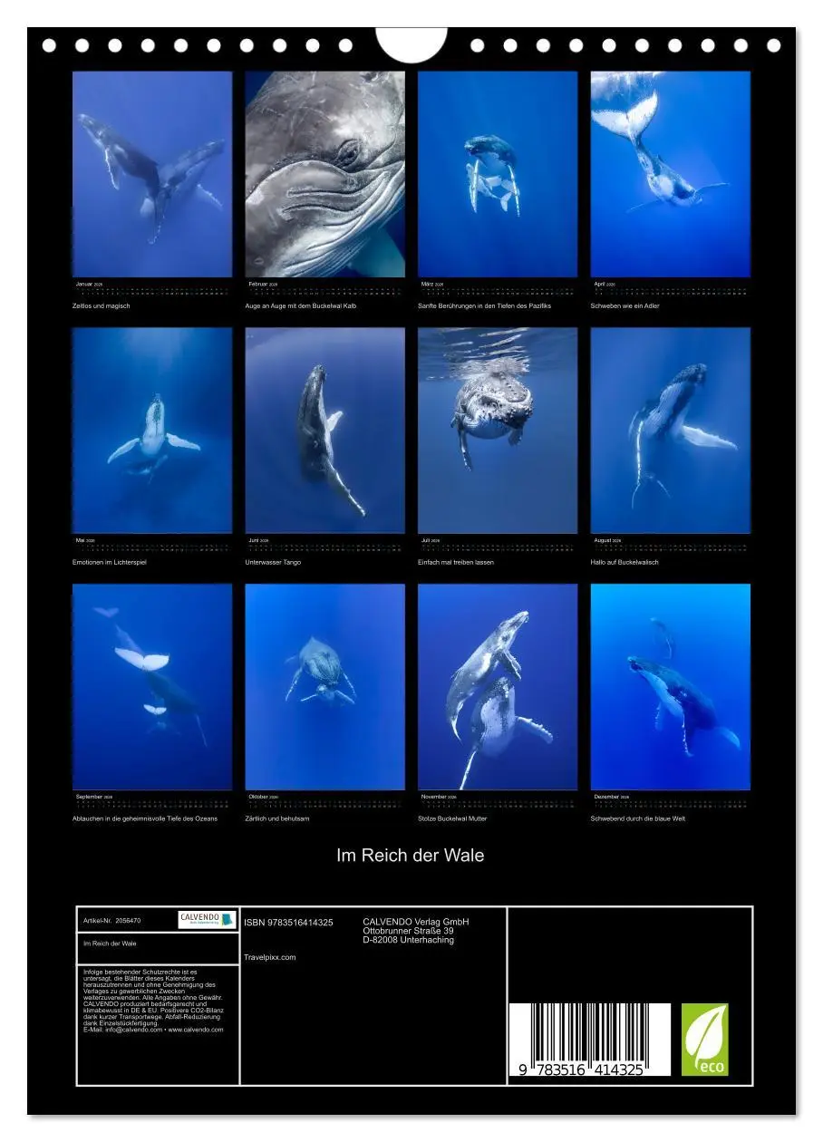 Bild: 9783516414325 | Im Reich der Wale (Wandkalender 2026 DIN A4 hoch), CALVENDO...