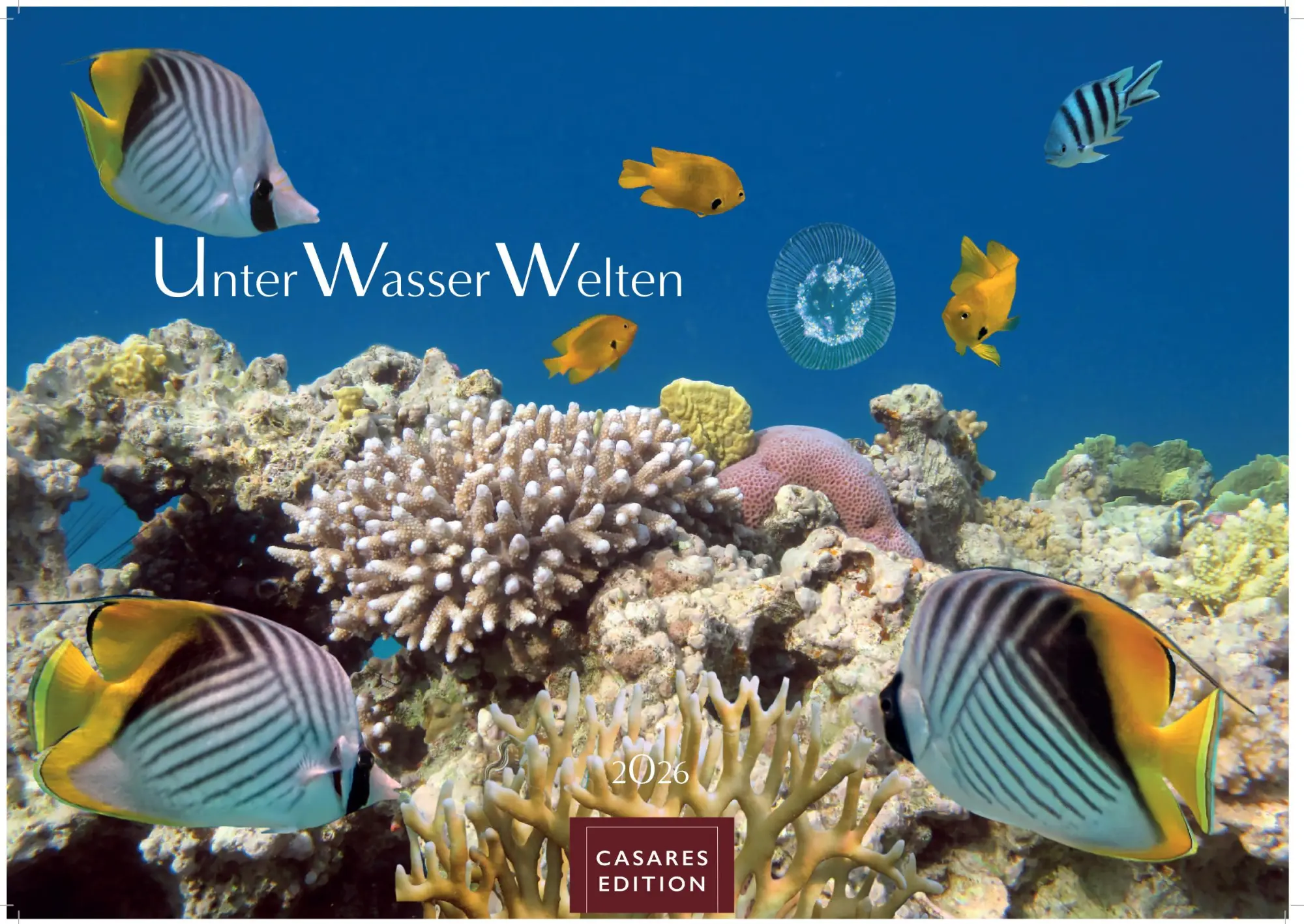 Cover: 9781835244425 | Unterwasserwelten Kalender 2026 35x50cm Großformat - Atemberaubende...