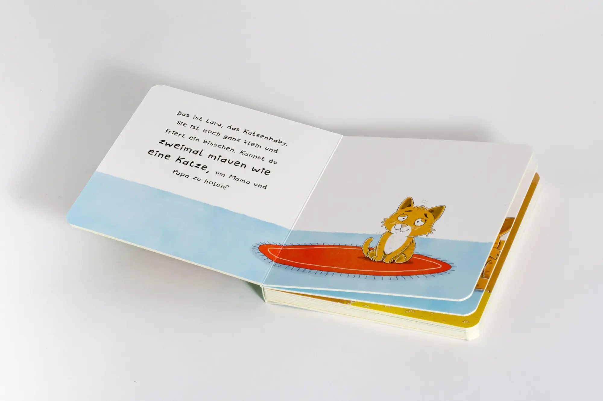 Bild: 9783328304425 | Hilf den Tierkindern | Nico Sternbaum | Buch | 22 S. | Deutsch | 2026