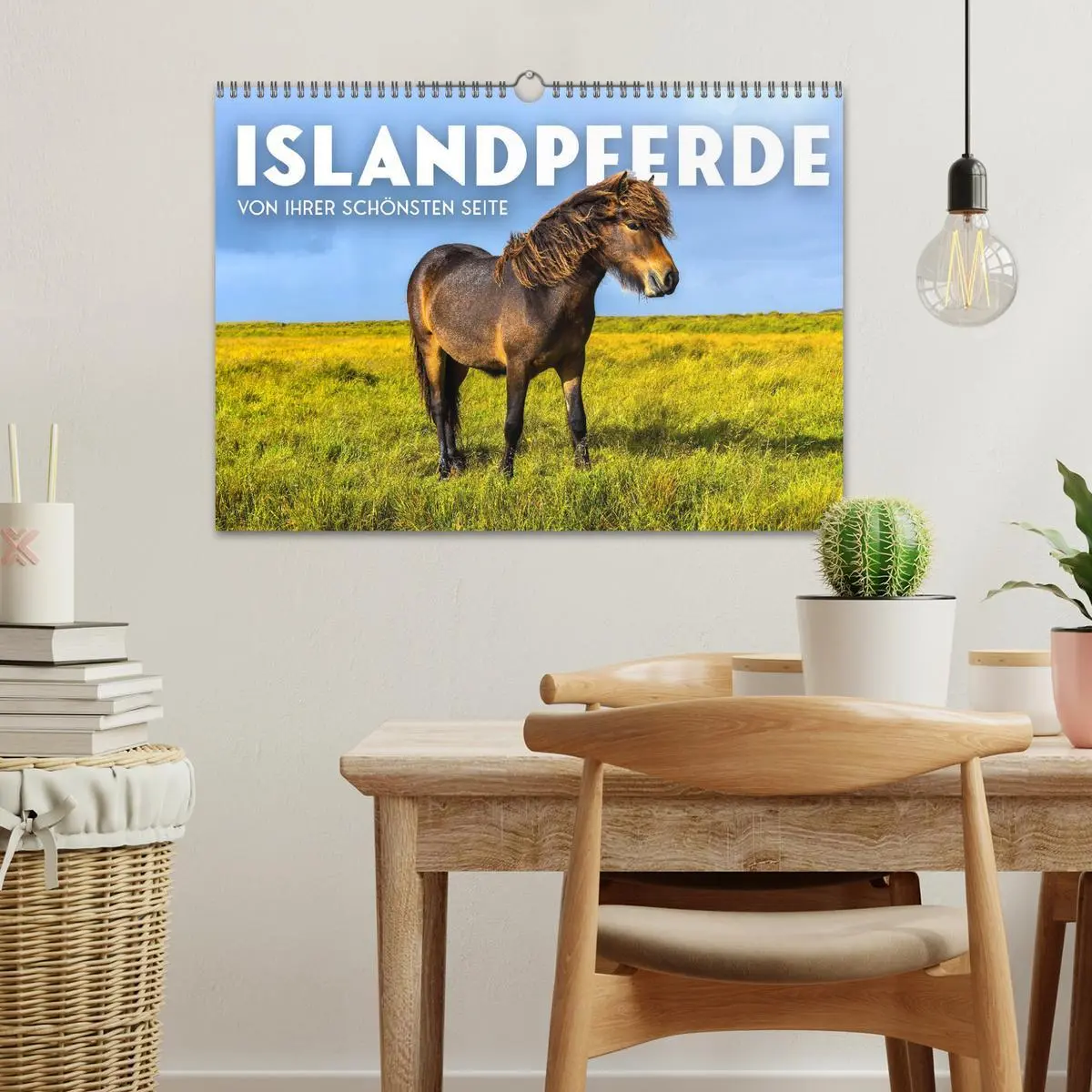 Bild: 9783457554425 | Islandpferde - Von ihrer schönsten Seite (Wandkalender 2026 DIN A3...