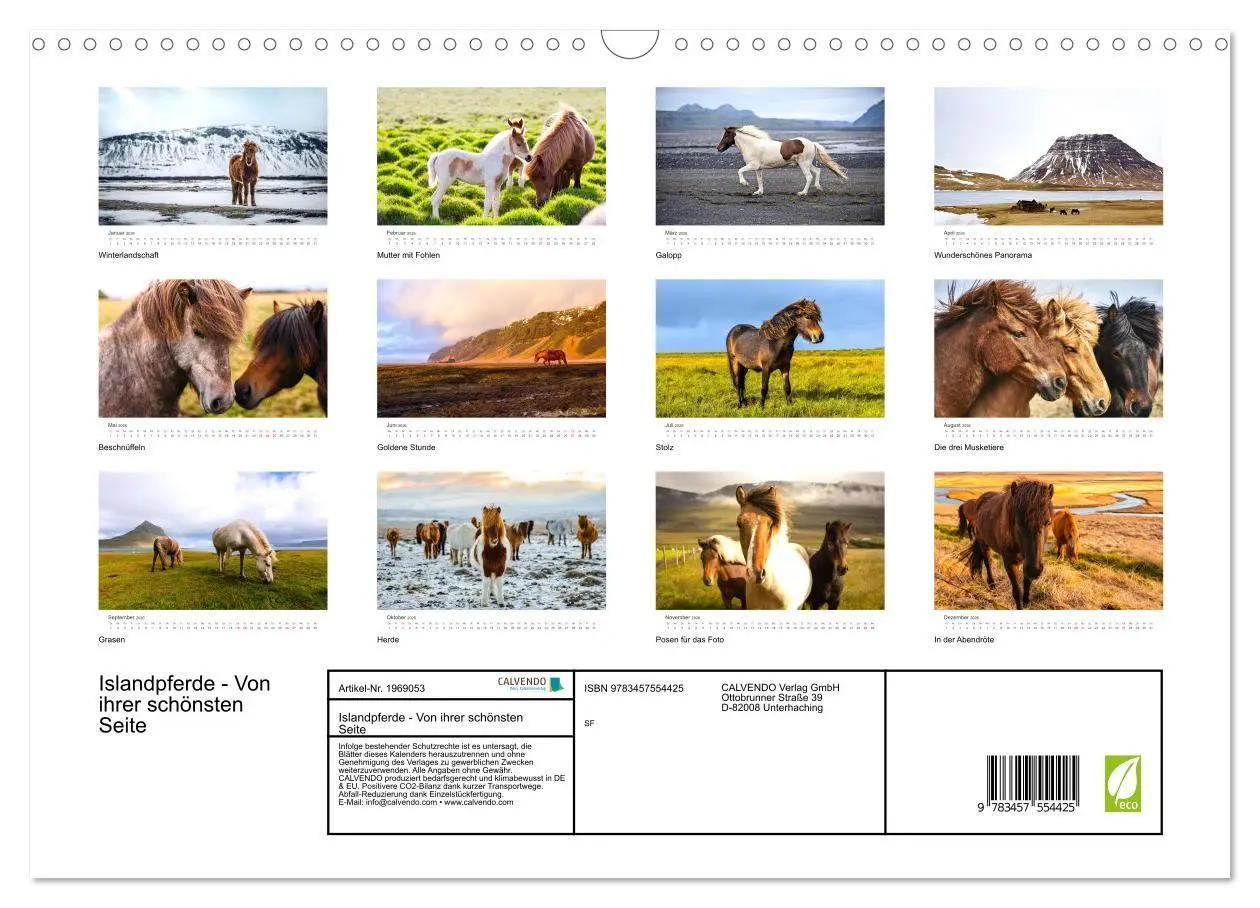Bild: 9783457554425 | Islandpferde - Von ihrer schönsten Seite (Wandkalender 2026 DIN A3...