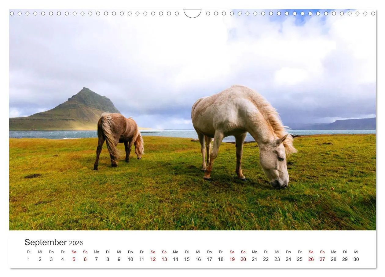 Bild: 9783457554425 | Islandpferde - Von ihrer schönsten Seite (Wandkalender 2026 DIN A3...