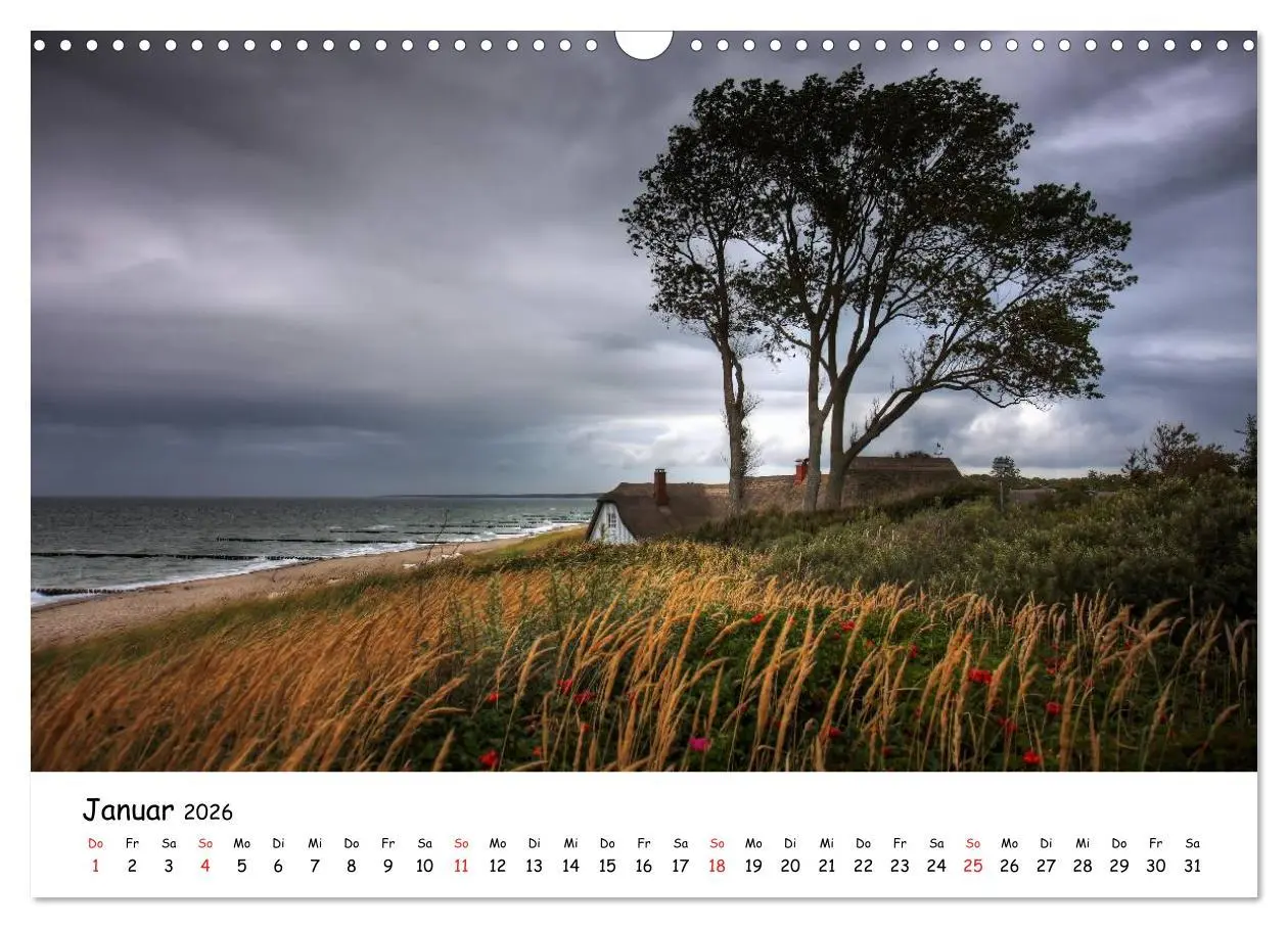 Bild: 9783516024425 | Ostsee Sehnsucht (Wandkalender 2026 DIN A3 quer), CALVENDO...