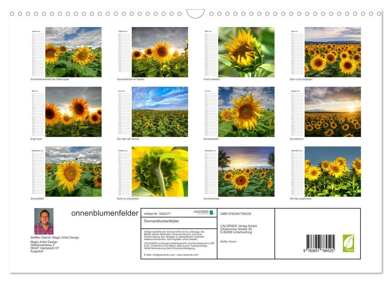 Bild: 9783457784525 | Sonnenblumenfelder (Wandkalender 2026 DIN A3 quer), CALVENDO...