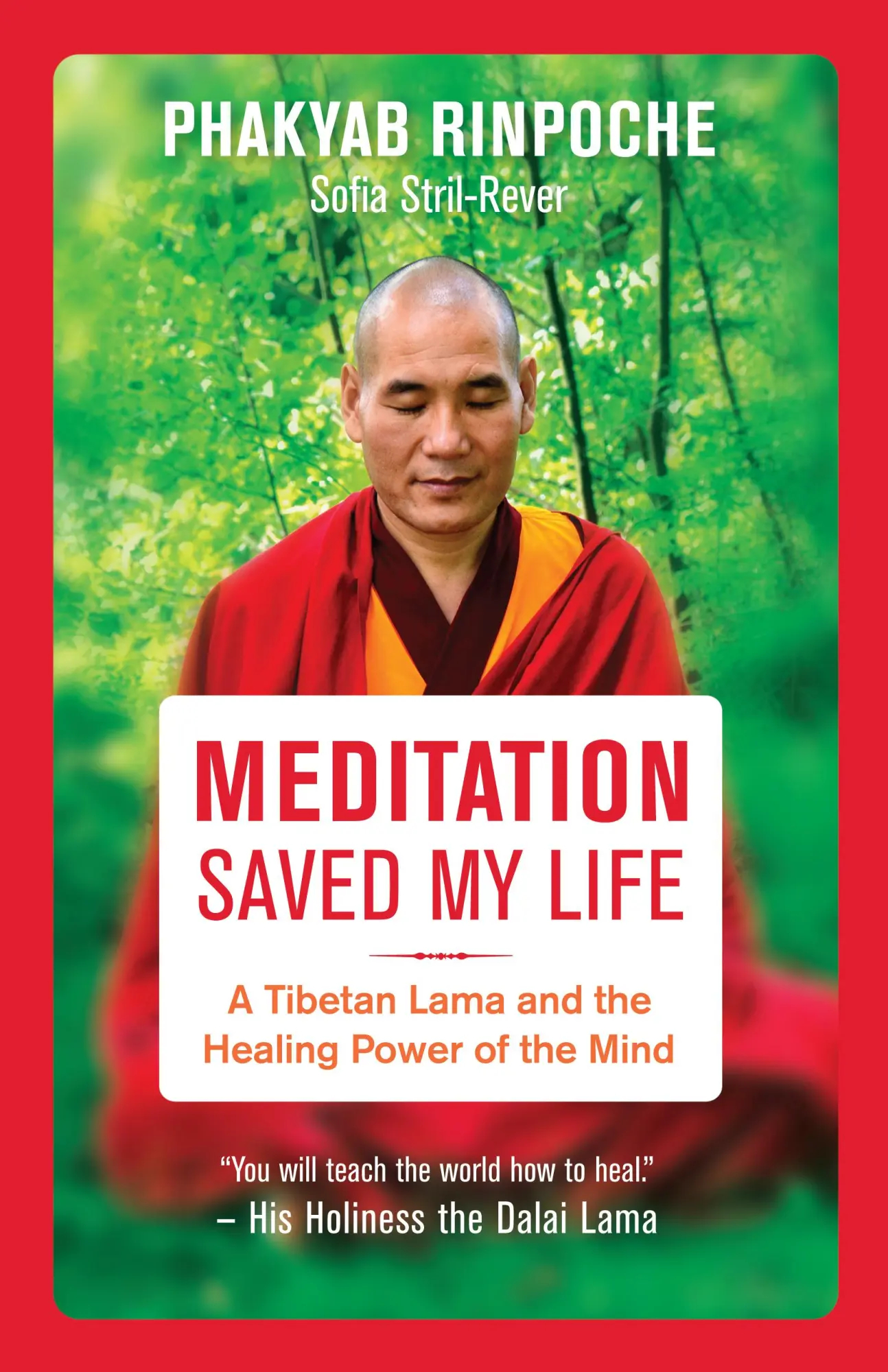 Cover: 9781608684625 | Meditation Saved My Life | Phakyab Rinpoche | Taschenbuch | Englisch
