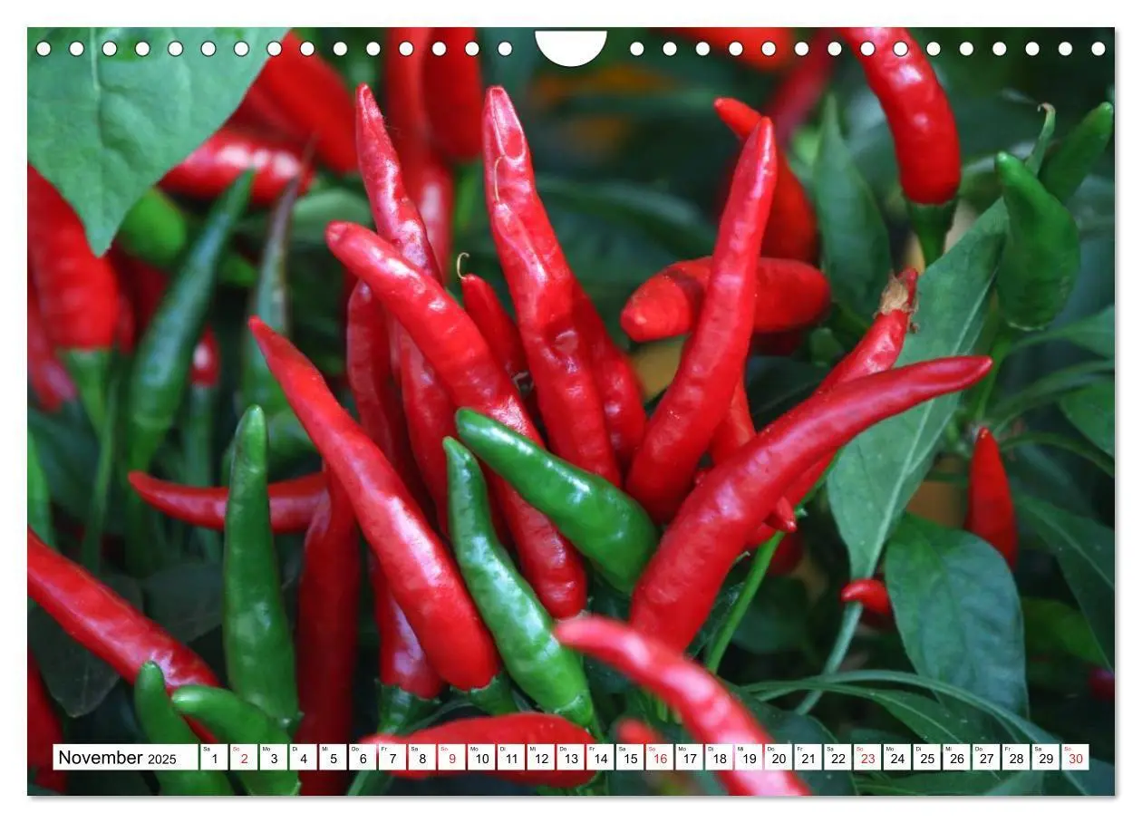 Bild: 9783435514625 | Für Chili Liebhaber (Wandkalender 2025 DIN A4 quer), CALVENDO...