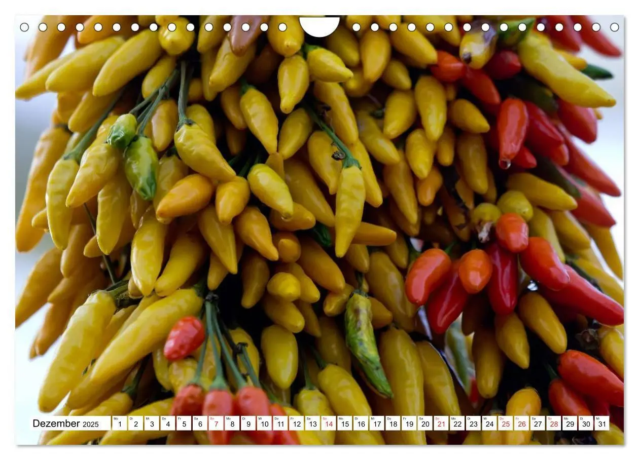 Bild: 9783435514625 | Für Chili Liebhaber (Wandkalender 2025 DIN A4 quer), CALVENDO...