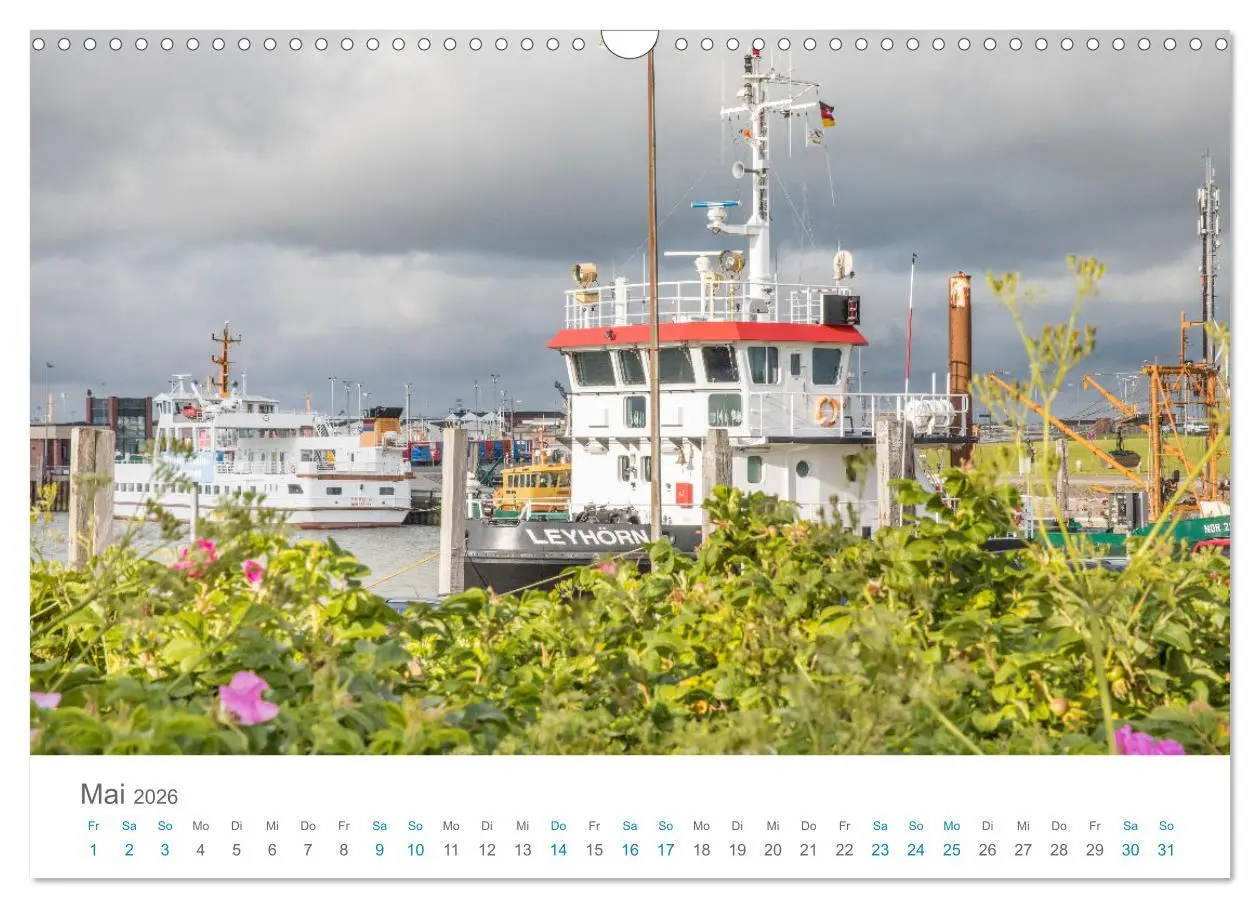 Bild: 9783457914625 | Moin Norden-Norddeich (Wandkalender 2026 DIN A3 quer), CALVENDO...