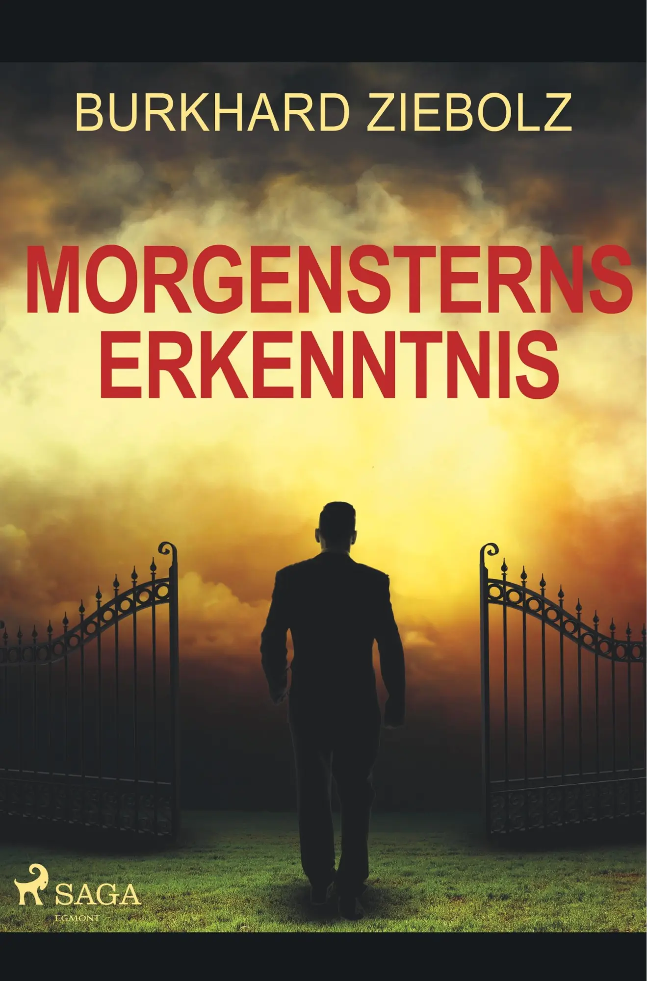 Cover: 9788726244625 | Morgensterns Erkenntnis - Kriminalroman aus Niedersachsen | Ziebolz