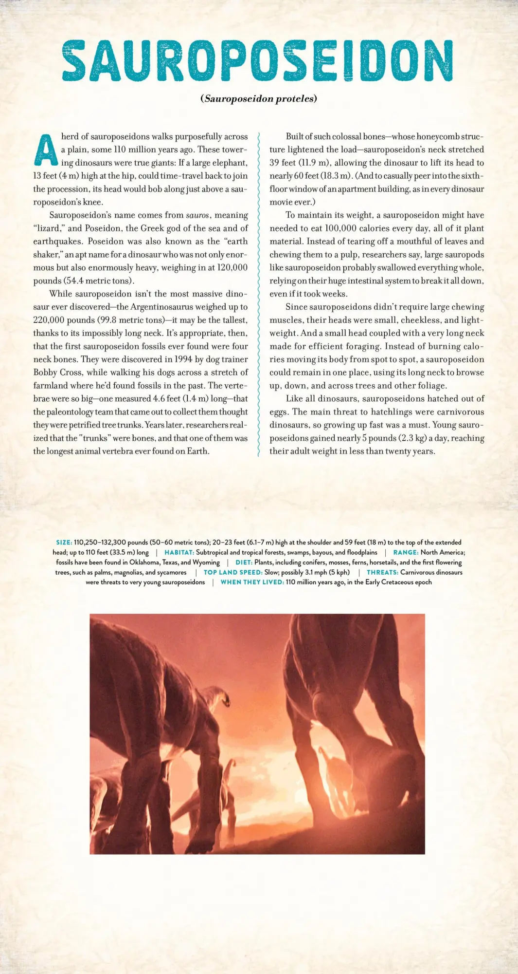 Bild: 9781523504725 | Dinosaur | A Photicular Book | Dan Kainen (u. a.) | Buch | Photicular
