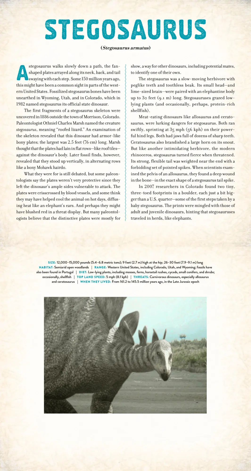 Bild: 9781523504725 | Dinosaur | A Photicular Book | Dan Kainen (u. a.) | Buch | Photicular