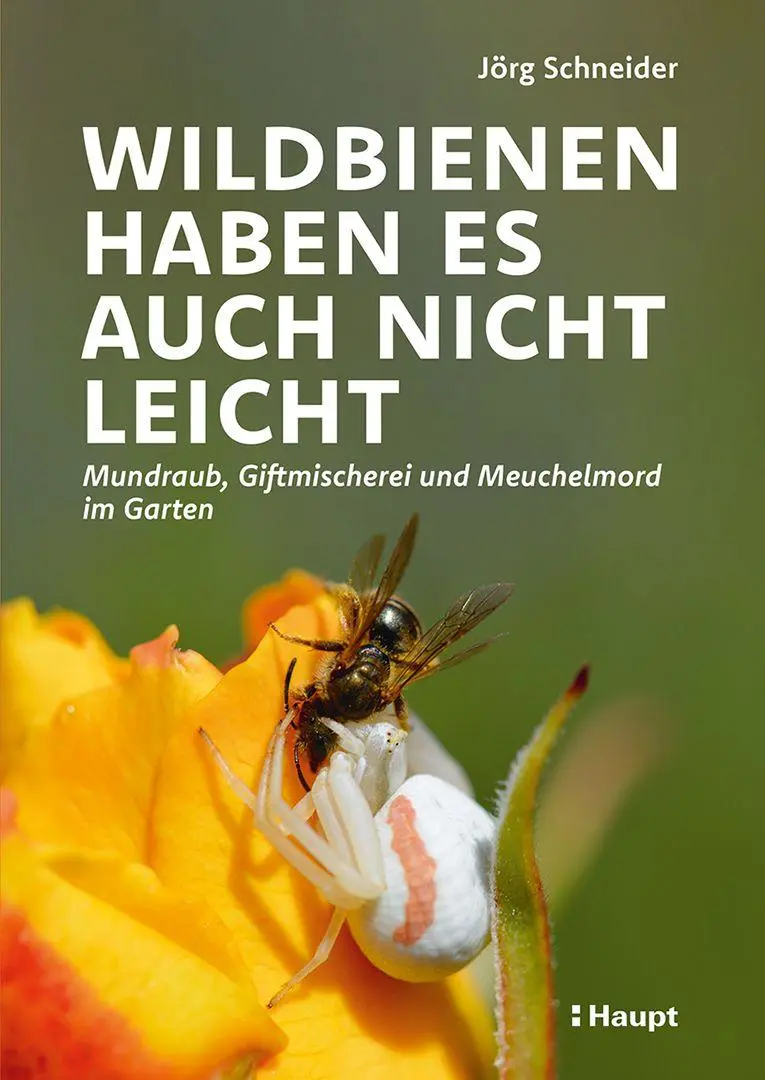 Cover: 9783258084725 | Wildbienen haben es auch nicht leicht | Jörg Schneider | Buch | 240 S.