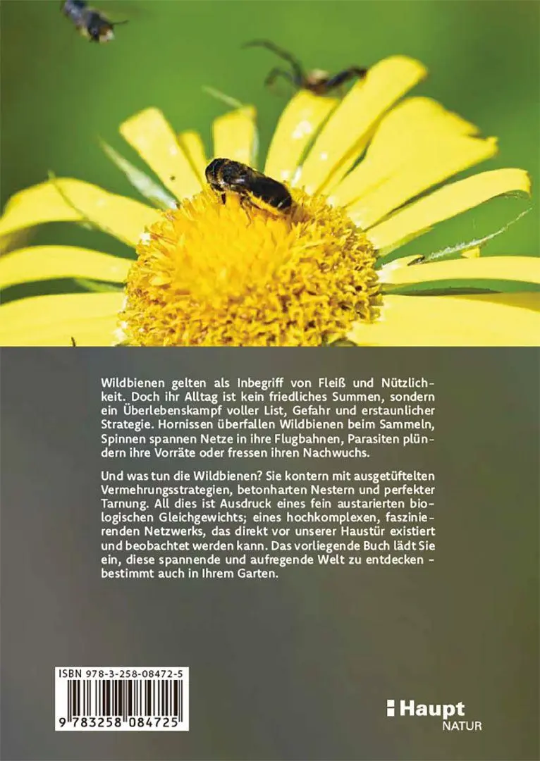 Bild: 9783258084725 | Wildbienen haben es auch nicht leicht | Jörg Schneider | Buch | 240 S.