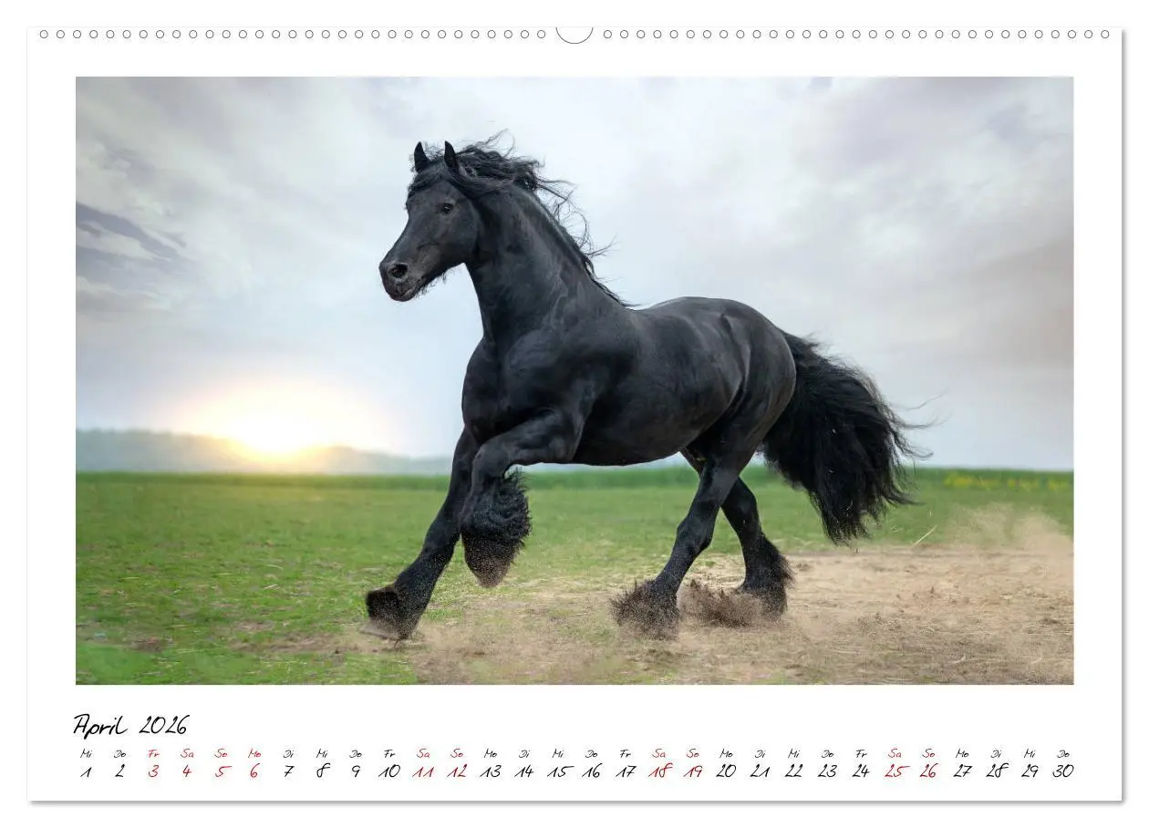 Bild: 9783457694725 | Friesen - stolze Giganten (hochwertiger Premium Wandkalender 2026...