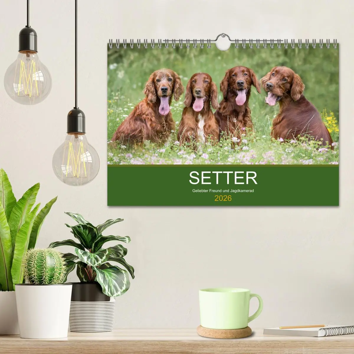 Bild: 9783457764725 | Setter - Geliebter Freund und Jagdkamerad (Wandkalender 2026 DIN A4...