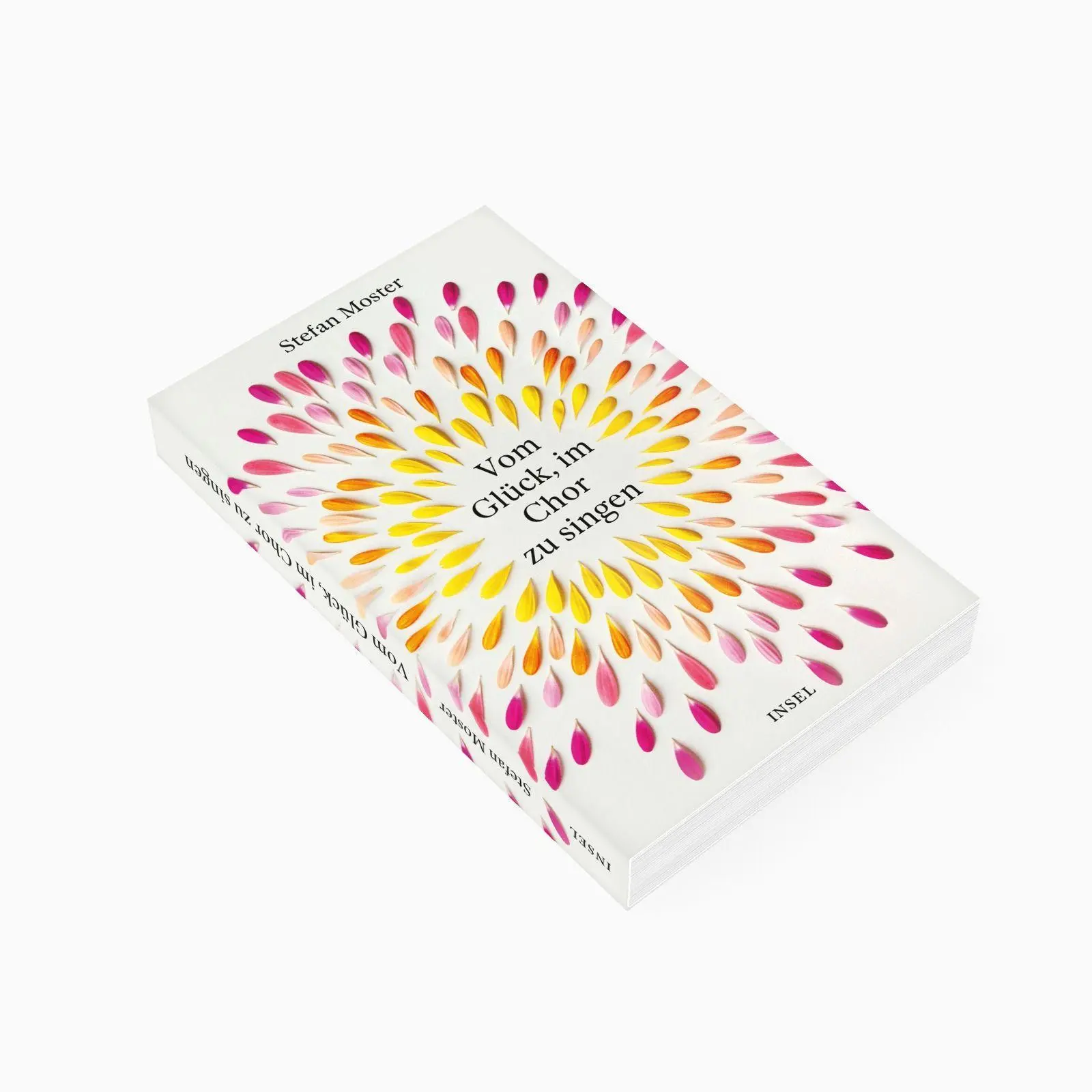 Bild: 9783458684725 | Vom Glück, im Chor zu singen | Stefan Moster | Taschenbuch | 219 S.