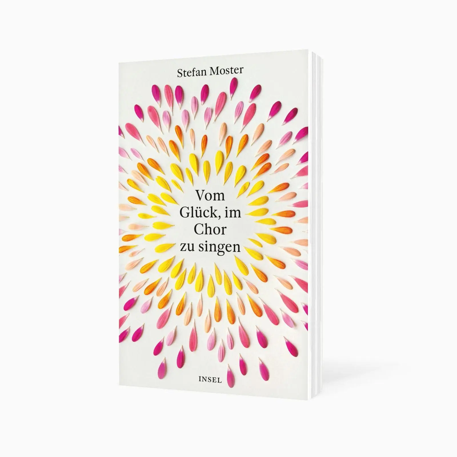 Bild: 9783458684725 | Vom Glück, im Chor zu singen | Stefan Moster | Taschenbuch | 219 S.