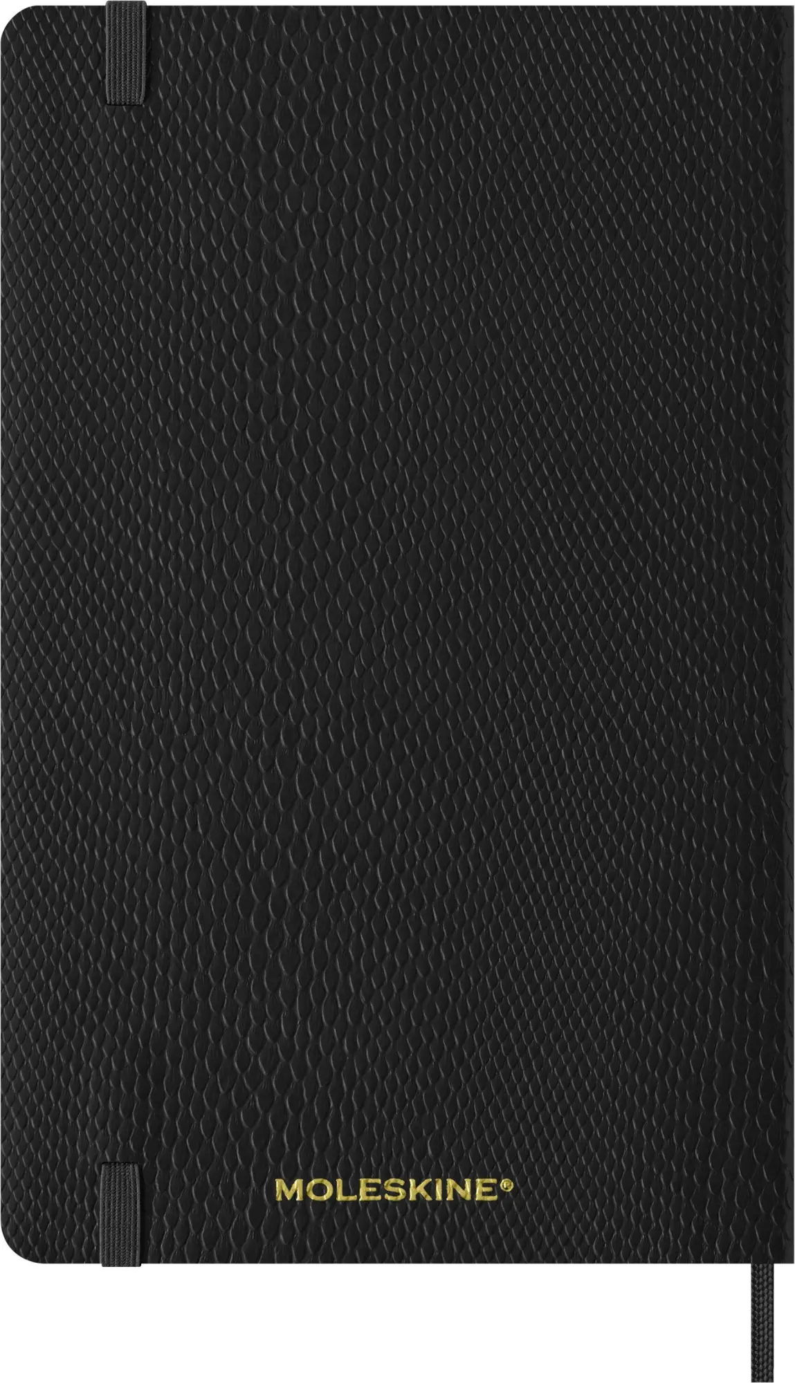 Bild: 8056999274825 | Moleskine Precious &amp; Ethical 12 Monate Wochen Notizkalender 2027,...