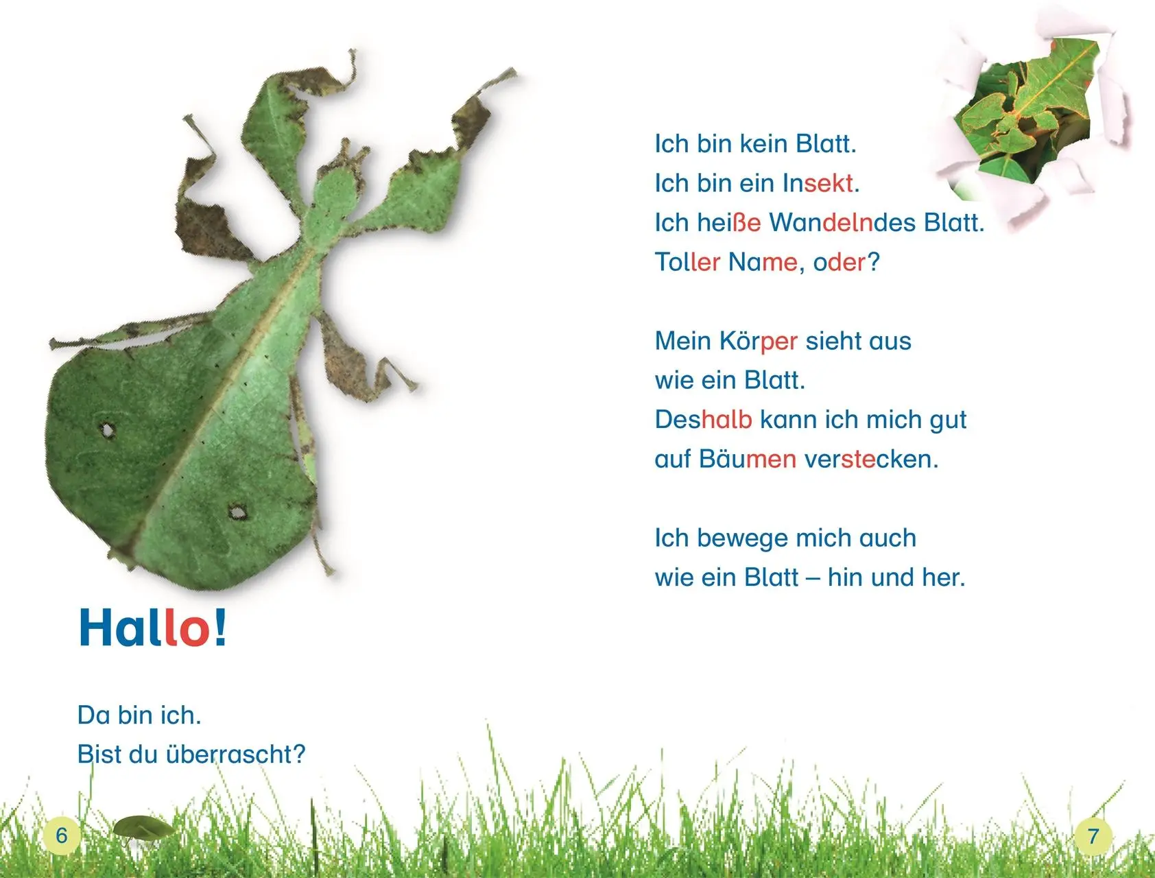 Bild: 9783831044825 | SUPERLESER! Insekten, top getarnt | Laura Buller | Buch | SUPERLESER!