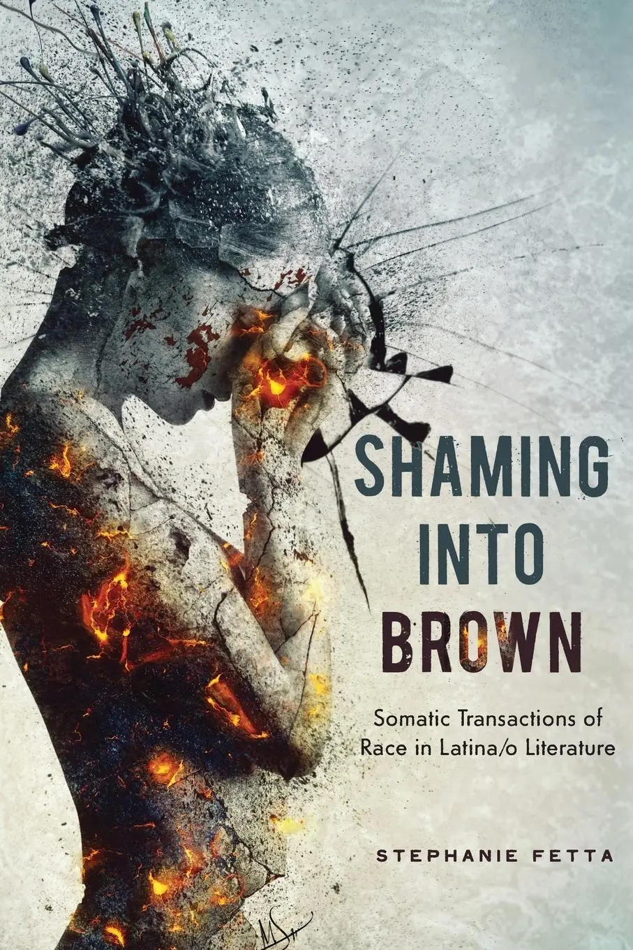 Cover: 9780814255025 | Shaming into Brown | Stephanie Fetta | Taschenbuch | Englisch | 2018
