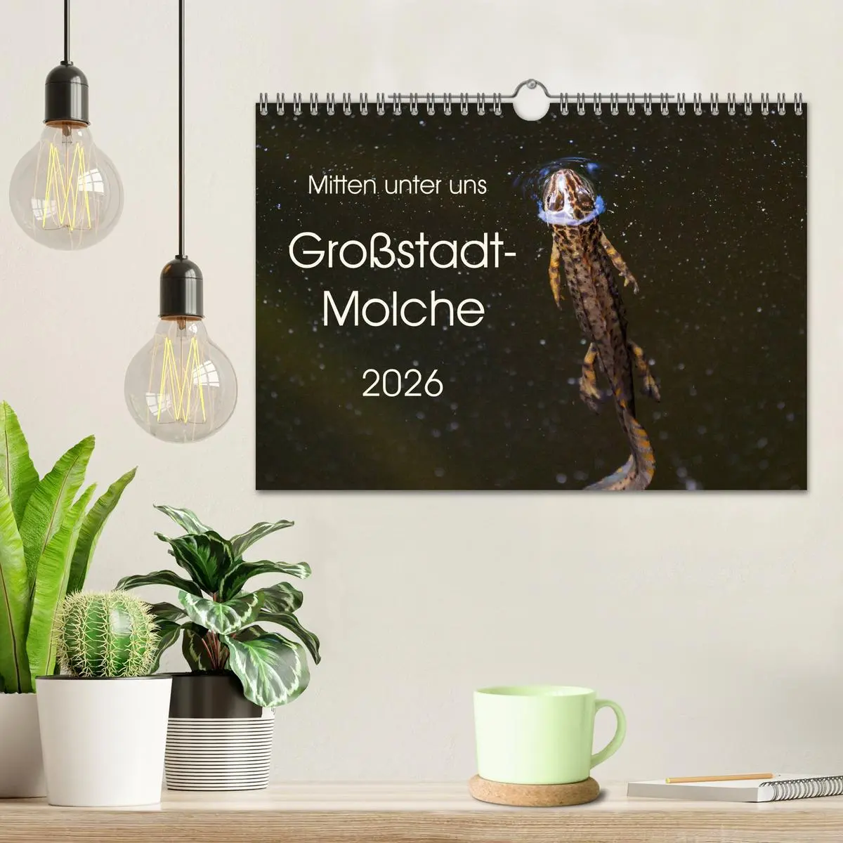 Bild: 9783457875025 | Mitten unter uns - Großstadt-Molche (Wandkalender 2026 DIN A4...