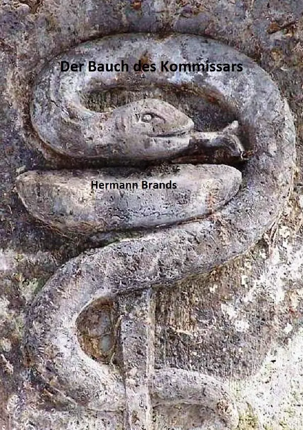 Cover: 9783748555025 | Der Bauch des Kommissars | Ein Krankenhauskrimi | Hermann Brands
