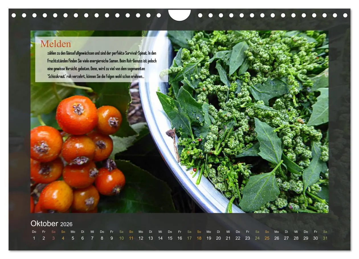 Bild: 9783457935125 | Outdoor-Survival-Kalender (Wandkalender 2026 DIN A4 quer), CALVENDO...