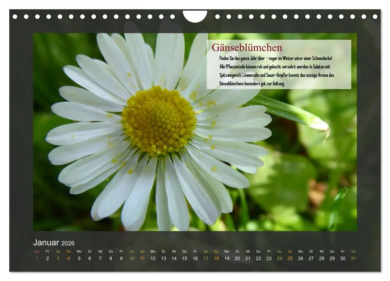 Bild: 9783457935125 | Outdoor-Survival-Kalender (Wandkalender 2026 DIN A4 quer), CALVENDO...